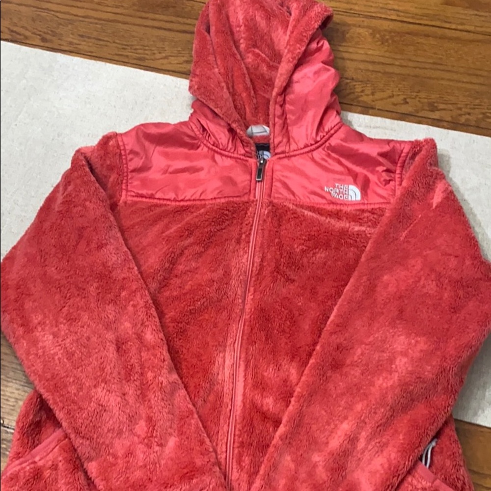 Hooded North Face jacket